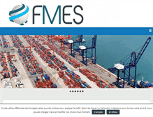 Tablet Screenshot of fmes-france.org